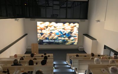 More than Honey – Bienensterben bei Honigbienen betrifft uns alle